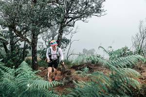 BIB: 
                            <button type="button" onclick="openModal(25329535)" class="btn btn-primary btn-sm float-right btn-popup" data-toggle="modal" data-target=".modal-high-quality">
                        <i class="fas fa-shopping-cart"></i> Add to Cart
                    </button>
                                            <button type="button" onclick="isThisMe(25329535, true)" class="btn btn-success btn-sm float-right btn-popup btn-isme hidden" data-toggle="tooltip" data-placement="bottom" title="นี่คือรูปของคุณใช่ไหม คลิกที่นี่เพื่อเอาเข้าอัลบั้ม">
                        <i class="fas fa-plus"></i> Add to album
                    </button>
                    <button type="button" onclick="isThisMe(25329535, false)" class="btn btn-warning btn-sm float-right btn-popup btn-isnotme hidden">
                        <i class="fas fa-ban"></i> Remove from album
                    </button>