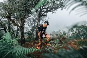 BIB: 
                            <button type="button" onclick="openModal(25328906)" class="btn btn-primary btn-sm float-right btn-popup" data-toggle="modal" data-target=".modal-high-quality">
                        <i class="fas fa-shopping-cart"></i> Add to Cart
                    </button>
                                            <button type="button" onclick="isThisMe(25328906, true)" class="btn btn-success btn-sm float-right btn-popup btn-isme hidden" data-toggle="tooltip" data-placement="bottom" title="นี่คือรูปของคุณใช่ไหม คลิกที่นี่เพื่อเอาเข้าอัลบั้ม">
                        <i class="fas fa-plus"></i> Add to album
                    </button>
                    <button type="button" onclick="isThisMe(25328906, false)" class="btn btn-warning btn-sm float-right btn-popup btn-isnotme hidden">
                        <i class="fas fa-ban"></i> Remove from album
                    </button>