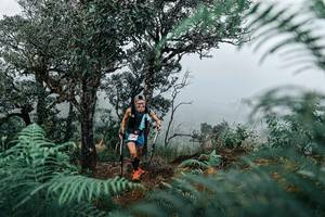 BIB: 
                            <button type="button" onclick="openModal(25329148)" class="btn btn-primary btn-sm float-right btn-popup" data-toggle="modal" data-target=".modal-high-quality">
                        <i class="fas fa-shopping-cart"></i> Add to Cart
                    </button>
                                            <button type="button" onclick="isThisMe(25329148, true)" class="btn btn-success btn-sm float-right btn-popup btn-isme hidden" data-toggle="tooltip" data-placement="bottom" title="นี่คือรูปของคุณใช่ไหม คลิกที่นี่เพื่อเอาเข้าอัลบั้ม">
                        <i class="fas fa-plus"></i> Add to album
                    </button>
                    <button type="button" onclick="isThisMe(25329148, false)" class="btn btn-warning btn-sm float-right btn-popup btn-isnotme hidden">
                        <i class="fas fa-ban"></i> Remove from album
                    </button>