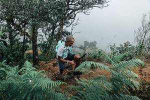 BIB: 
                            <button type="button" onclick="openModal(25330093)" class="btn btn-primary btn-sm float-right btn-popup" data-toggle="modal" data-target=".modal-high-quality">
                        <i class="fas fa-shopping-cart"></i> Add to Cart
                    </button>
                                            <button type="button" onclick="isThisMe(25330093, true)" class="btn btn-success btn-sm float-right btn-popup btn-isme hidden" data-toggle="tooltip" data-placement="bottom" title="นี่คือรูปของคุณใช่ไหม คลิกที่นี่เพื่อเอาเข้าอัลบั้ม">
                        <i class="fas fa-plus"></i> Add to album
                    </button>
                    <button type="button" onclick="isThisMe(25330093, false)" class="btn btn-warning btn-sm float-right btn-popup btn-isnotme hidden">
                        <i class="fas fa-ban"></i> Remove from album
                    </button>