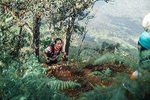 BIB: 
                            <button type="button" onclick="openModal(25338682)" class="btn btn-primary btn-sm float-right btn-popup" data-toggle="modal" data-target=".modal-high-quality">
                        <i class="fas fa-shopping-cart"></i> Add to Cart
                    </button>
                                            <button type="button" onclick="isThisMe(25338682, true)" class="btn btn-success btn-sm float-right btn-popup btn-isme hidden" data-toggle="tooltip" data-placement="bottom" title="นี่คือรูปของคุณใช่ไหม คลิกที่นี่เพื่อเอาเข้าอัลบั้ม">
                        <i class="fas fa-plus"></i> Add to album
                    </button>
                    <button type="button" onclick="isThisMe(25338682, false)" class="btn btn-warning btn-sm float-right btn-popup btn-isnotme hidden">
                        <i class="fas fa-ban"></i> Remove from album
                    </button>