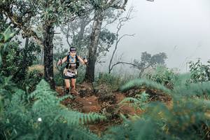 BIB: 
                            <button type="button" onclick="openModal(25329597)" class="btn btn-primary btn-sm float-right btn-popup" data-toggle="modal" data-target=".modal-high-quality">
                        <i class="fas fa-shopping-cart"></i> Add to Cart
                    </button>
                                            <button type="button" onclick="isThisMe(25329597, true)" class="btn btn-success btn-sm float-right btn-popup btn-isme hidden" data-toggle="tooltip" data-placement="bottom" title="นี่คือรูปของคุณใช่ไหม คลิกที่นี่เพื่อเอาเข้าอัลบั้ม">
                        <i class="fas fa-plus"></i> Add to album
                    </button>
                    <button type="button" onclick="isThisMe(25329597, false)" class="btn btn-warning btn-sm float-right btn-popup btn-isnotme hidden">
                        <i class="fas fa-ban"></i> Remove from album
                    </button>