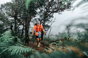 BIB: 
                            <button type="button" onclick="openModal(25328999)" class="btn btn-primary btn-sm float-right btn-popup" data-toggle="modal" data-target=".modal-high-quality">
                        <i class="fas fa-shopping-cart"></i> Add to Cart
                    </button>
                                            <button type="button" onclick="isThisMe(25328999, true)" class="btn btn-success btn-sm float-right btn-popup btn-isme hidden" data-toggle="tooltip" data-placement="bottom" title="นี่คือรูปของคุณใช่ไหม คลิกที่นี่เพื่อเอาเข้าอัลบั้ม">
                        <i class="fas fa-plus"></i> Add to album
                    </button>
                    <button type="button" onclick="isThisMe(25328999, false)" class="btn btn-warning btn-sm float-right btn-popup btn-isnotme hidden">
                        <i class="fas fa-ban"></i> Remove from album
                    </button>