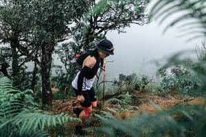 BIB: 
                            <button type="button" onclick="openModal(25329831)" class="btn btn-primary btn-sm float-right btn-popup" data-toggle="modal" data-target=".modal-high-quality">
                        <i class="fas fa-shopping-cart"></i> Add to Cart
                    </button>
                                            <button type="button" onclick="isThisMe(25329831, true)" class="btn btn-success btn-sm float-right btn-popup btn-isme hidden" data-toggle="tooltip" data-placement="bottom" title="นี่คือรูปของคุณใช่ไหม คลิกที่นี่เพื่อเอาเข้าอัลบั้ม">
                        <i class="fas fa-plus"></i> Add to album
                    </button>
                    <button type="button" onclick="isThisMe(25329831, false)" class="btn btn-warning btn-sm float-right btn-popup btn-isnotme hidden">
                        <i class="fas fa-ban"></i> Remove from album
                    </button>