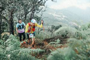 BIB: 
                            <button type="button" onclick="openModal(25339389)" class="btn btn-primary btn-sm float-right btn-popup" data-toggle="modal" data-target=".modal-high-quality">
                        <i class="fas fa-shopping-cart"></i> Add to Cart
                    </button>
                                            <button type="button" onclick="isThisMe(25339389, true)" class="btn btn-success btn-sm float-right btn-popup btn-isme hidden" data-toggle="tooltip" data-placement="bottom" title="นี่คือรูปของคุณใช่ไหม คลิกที่นี่เพื่อเอาเข้าอัลบั้ม">
                        <i class="fas fa-plus"></i> Add to album
                    </button>
                    <button type="button" onclick="isThisMe(25339389, false)" class="btn btn-warning btn-sm float-right btn-popup btn-isnotme hidden">
                        <i class="fas fa-ban"></i> Remove from album
                    </button>