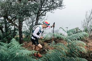 BIB: 
                            <button type="button" onclick="openModal(25329546)" class="btn btn-primary btn-sm float-right btn-popup" data-toggle="modal" data-target=".modal-high-quality">
                        <i class="fas fa-shopping-cart"></i> Add to Cart
                    </button>
                                            <button type="button" onclick="isThisMe(25329546, true)" class="btn btn-success btn-sm float-right btn-popup btn-isme hidden" data-toggle="tooltip" data-placement="bottom" title="นี่คือรูปของคุณใช่ไหม คลิกที่นี่เพื่อเอาเข้าอัลบั้ม">
                        <i class="fas fa-plus"></i> Add to album
                    </button>
                    <button type="button" onclick="isThisMe(25329546, false)" class="btn btn-warning btn-sm float-right btn-popup btn-isnotme hidden">
                        <i class="fas fa-ban"></i> Remove from album
                    </button>