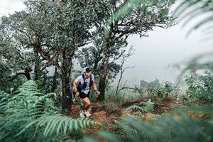 BIB: 
                            <button type="button" onclick="openModal(25329058)" class="btn btn-primary btn-sm float-right btn-popup" data-toggle="modal" data-target=".modal-high-quality">
                        <i class="fas fa-shopping-cart"></i> Add to Cart
                    </button>
                                            <button type="button" onclick="isThisMe(25329058, true)" class="btn btn-success btn-sm float-right btn-popup btn-isme hidden" data-toggle="tooltip" data-placement="bottom" title="นี่คือรูปของคุณใช่ไหม คลิกที่นี่เพื่อเอาเข้าอัลบั้ม">
                        <i class="fas fa-plus"></i> Add to album
                    </button>
                    <button type="button" onclick="isThisMe(25329058, false)" class="btn btn-warning btn-sm float-right btn-popup btn-isnotme hidden">
                        <i class="fas fa-ban"></i> Remove from album
                    </button>