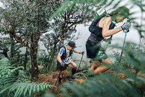 BIB: 
                            <button type="button" onclick="openModal(25329091)" class="btn btn-primary btn-sm float-right btn-popup" data-toggle="modal" data-target=".modal-high-quality">
                        <i class="fas fa-shopping-cart"></i> Add to Cart
                    </button>
                                            <button type="button" onclick="isThisMe(25329091, true)" class="btn btn-success btn-sm float-right btn-popup btn-isme hidden" data-toggle="tooltip" data-placement="bottom" title="นี่คือรูปของคุณใช่ไหม คลิกที่นี่เพื่อเอาเข้าอัลบั้ม">
                        <i class="fas fa-plus"></i> Add to album
                    </button>
                    <button type="button" onclick="isThisMe(25329091, false)" class="btn btn-warning btn-sm float-right btn-popup btn-isnotme hidden">
                        <i class="fas fa-ban"></i> Remove from album
                    </button>