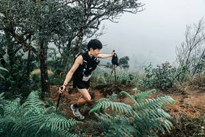 BIB: 
                            <button type="button" onclick="openModal(25329945)" class="btn btn-primary btn-sm float-right btn-popup" data-toggle="modal" data-target=".modal-high-quality">
                        <i class="fas fa-shopping-cart"></i> Add to Cart
                    </button>
                                            <button type="button" onclick="isThisMe(25329945, true)" class="btn btn-success btn-sm float-right btn-popup btn-isme hidden" data-toggle="tooltip" data-placement="bottom" title="นี่คือรูปของคุณใช่ไหม คลิกที่นี่เพื่อเอาเข้าอัลบั้ม">
                        <i class="fas fa-plus"></i> Add to album
                    </button>
                    <button type="button" onclick="isThisMe(25329945, false)" class="btn btn-warning btn-sm float-right btn-popup btn-isnotme hidden">
                        <i class="fas fa-ban"></i> Remove from album
                    </button>