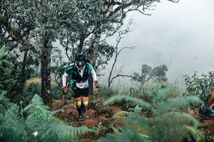 BIB: 
                            <button type="button" onclick="openModal(25329586)" class="btn btn-primary btn-sm float-right btn-popup" data-toggle="modal" data-target=".modal-high-quality">
                        <i class="fas fa-shopping-cart"></i> Add to Cart
                    </button>
                                            <button type="button" onclick="isThisMe(25329586, true)" class="btn btn-success btn-sm float-right btn-popup btn-isme hidden" data-toggle="tooltip" data-placement="bottom" title="นี่คือรูปของคุณใช่ไหม คลิกที่นี่เพื่อเอาเข้าอัลบั้ม">
                        <i class="fas fa-plus"></i> Add to album
                    </button>
                    <button type="button" onclick="isThisMe(25329586, false)" class="btn btn-warning btn-sm float-right btn-popup btn-isnotme hidden">
                        <i class="fas fa-ban"></i> Remove from album
                    </button>