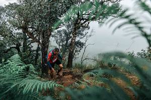 BIB: 
                            <button type="button" onclick="openModal(25335948)" class="btn btn-primary btn-sm float-right btn-popup" data-toggle="modal" data-target=".modal-high-quality">
                        <i class="fas fa-shopping-cart"></i> Add to Cart
                    </button>
                                            <button type="button" onclick="isThisMe(25335948, true)" class="btn btn-success btn-sm float-right btn-popup btn-isme hidden" data-toggle="tooltip" data-placement="bottom" title="นี่คือรูปของคุณใช่ไหม คลิกที่นี่เพื่อเอาเข้าอัลบั้ม">
                        <i class="fas fa-plus"></i> Add to album
                    </button>
                    <button type="button" onclick="isThisMe(25335948, false)" class="btn btn-warning btn-sm float-right btn-popup btn-isnotme hidden">
                        <i class="fas fa-ban"></i> Remove from album
                    </button>