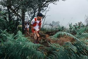 BIB: 
                            <button type="button" onclick="openModal(25330131)" class="btn btn-primary btn-sm float-right btn-popup" data-toggle="modal" data-target=".modal-high-quality">
                        <i class="fas fa-shopping-cart"></i> Add to Cart
                    </button>
                                            <button type="button" onclick="isThisMe(25330131, true)" class="btn btn-success btn-sm float-right btn-popup btn-isme hidden" data-toggle="tooltip" data-placement="bottom" title="นี่คือรูปของคุณใช่ไหม คลิกที่นี่เพื่อเอาเข้าอัลบั้ม">
                        <i class="fas fa-plus"></i> Add to album
                    </button>
                    <button type="button" onclick="isThisMe(25330131, false)" class="btn btn-warning btn-sm float-right btn-popup btn-isnotme hidden">
                        <i class="fas fa-ban"></i> Remove from album
                    </button>