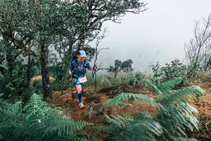 BIB: 
                            <button type="button" onclick="openModal(25330006)" class="btn btn-primary btn-sm float-right btn-popup" data-toggle="modal" data-target=".modal-high-quality">
                        <i class="fas fa-shopping-cart"></i> Add to Cart
                    </button>
                                            <button type="button" onclick="isThisMe(25330006, true)" class="btn btn-success btn-sm float-right btn-popup btn-isme hidden" data-toggle="tooltip" data-placement="bottom" title="นี่คือรูปของคุณใช่ไหม คลิกที่นี่เพื่อเอาเข้าอัลบั้ม">
                        <i class="fas fa-plus"></i> Add to album
                    </button>
                    <button type="button" onclick="isThisMe(25330006, false)" class="btn btn-warning btn-sm float-right btn-popup btn-isnotme hidden">
                        <i class="fas fa-ban"></i> Remove from album
                    </button>