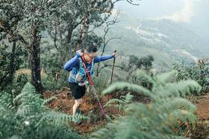 BIB: 
                            <button type="button" onclick="openModal(25339671)" class="btn btn-primary btn-sm float-right btn-popup" data-toggle="modal" data-target=".modal-high-quality">
                        <i class="fas fa-shopping-cart"></i> Add to Cart
                    </button>
                                            <button type="button" onclick="isThisMe(25339671, true)" class="btn btn-success btn-sm float-right btn-popup btn-isme hidden" data-toggle="tooltip" data-placement="bottom" title="นี่คือรูปของคุณใช่ไหม คลิกที่นี่เพื่อเอาเข้าอัลบั้ม">
                        <i class="fas fa-plus"></i> Add to album
                    </button>
                    <button type="button" onclick="isThisMe(25339671, false)" class="btn btn-warning btn-sm float-right btn-popup btn-isnotme hidden">
                        <i class="fas fa-ban"></i> Remove from album
                    </button>