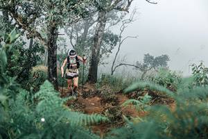 BIB: 
                            <button type="button" onclick="openModal(25329595)" class="btn btn-primary btn-sm float-right btn-popup" data-toggle="modal" data-target=".modal-high-quality">
                        <i class="fas fa-shopping-cart"></i> Add to Cart
                    </button>
                                            <button type="button" onclick="isThisMe(25329595, true)" class="btn btn-success btn-sm float-right btn-popup btn-isme hidden" data-toggle="tooltip" data-placement="bottom" title="นี่คือรูปของคุณใช่ไหม คลิกที่นี่เพื่อเอาเข้าอัลบั้ม">
                        <i class="fas fa-plus"></i> Add to album
                    </button>
                    <button type="button" onclick="isThisMe(25329595, false)" class="btn btn-warning btn-sm float-right btn-popup btn-isnotme hidden">
                        <i class="fas fa-ban"></i> Remove from album
                    </button>