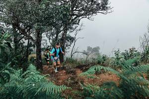 BIB: 
                            <button type="button" onclick="openModal(25329441)" class="btn btn-primary btn-sm float-right btn-popup" data-toggle="modal" data-target=".modal-high-quality">
                        <i class="fas fa-shopping-cart"></i> Add to Cart
                    </button>
                                            <button type="button" onclick="isThisMe(25329441, true)" class="btn btn-success btn-sm float-right btn-popup btn-isme hidden" data-toggle="tooltip" data-placement="bottom" title="นี่คือรูปของคุณใช่ไหม คลิกที่นี่เพื่อเอาเข้าอัลบั้ม">
                        <i class="fas fa-plus"></i> Add to album
                    </button>
                    <button type="button" onclick="isThisMe(25329441, false)" class="btn btn-warning btn-sm float-right btn-popup btn-isnotme hidden">
                        <i class="fas fa-ban"></i> Remove from album
                    </button>