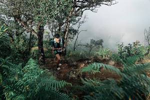 BIB: 
                            <button type="button" onclick="openModal(25329406)" class="btn btn-primary btn-sm float-right btn-popup" data-toggle="modal" data-target=".modal-high-quality">
                        <i class="fas fa-shopping-cart"></i> Add to Cart
                    </button>
                                            <button type="button" onclick="isThisMe(25329406, true)" class="btn btn-success btn-sm float-right btn-popup btn-isme hidden" data-toggle="tooltip" data-placement="bottom" title="นี่คือรูปของคุณใช่ไหม คลิกที่นี่เพื่อเอาเข้าอัลบั้ม">
                        <i class="fas fa-plus"></i> Add to album
                    </button>
                    <button type="button" onclick="isThisMe(25329406, false)" class="btn btn-warning btn-sm float-right btn-popup btn-isnotme hidden">
                        <i class="fas fa-ban"></i> Remove from album
                    </button>