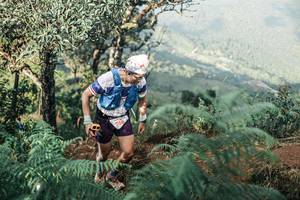 BIB: 
                            <button type="button" onclick="openModal(25340005)" class="btn btn-primary btn-sm float-right btn-popup" data-toggle="modal" data-target=".modal-high-quality">
                        <i class="fas fa-shopping-cart"></i> Add to Cart
                    </button>
                                            <button type="button" onclick="isThisMe(25340005, true)" class="btn btn-success btn-sm float-right btn-popup btn-isme hidden" data-toggle="tooltip" data-placement="bottom" title="นี่คือรูปของคุณใช่ไหม คลิกที่นี่เพื่อเอาเข้าอัลบั้ม">
                        <i class="fas fa-plus"></i> Add to album
                    </button>
                    <button type="button" onclick="isThisMe(25340005, false)" class="btn btn-warning btn-sm float-right btn-popup btn-isnotme hidden">
                        <i class="fas fa-ban"></i> Remove from album
                    </button>