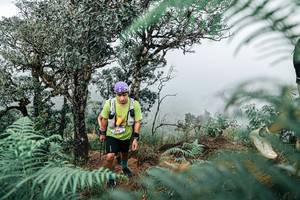 BIB: 
                            <button type="button" onclick="openModal(25329070)" class="btn btn-primary btn-sm float-right btn-popup" data-toggle="modal" data-target=".modal-high-quality">
                        <i class="fas fa-shopping-cart"></i> Add to Cart
                    </button>
                                            <button type="button" onclick="isThisMe(25329070, true)" class="btn btn-success btn-sm float-right btn-popup btn-isme hidden" data-toggle="tooltip" data-placement="bottom" title="นี่คือรูปของคุณใช่ไหม คลิกที่นี่เพื่อเอาเข้าอัลบั้ม">
                        <i class="fas fa-plus"></i> Add to album
                    </button>
                    <button type="button" onclick="isThisMe(25329070, false)" class="btn btn-warning btn-sm float-right btn-popup btn-isnotme hidden">
                        <i class="fas fa-ban"></i> Remove from album
                    </button>