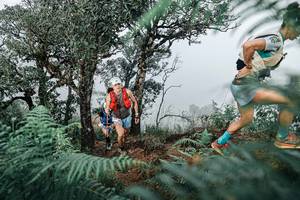 BIB: 
                            <button type="button" onclick="openModal(25328835)" class="btn btn-primary btn-sm float-right btn-popup" data-toggle="modal" data-target=".modal-high-quality">
                        <i class="fas fa-shopping-cart"></i> Add to Cart
                    </button>
                                            <button type="button" onclick="isThisMe(25328835, true)" class="btn btn-success btn-sm float-right btn-popup btn-isme hidden" data-toggle="tooltip" data-placement="bottom" title="นี่คือรูปของคุณใช่ไหม คลิกที่นี่เพื่อเอาเข้าอัลบั้ม">
                        <i class="fas fa-plus"></i> Add to album
                    </button>
                    <button type="button" onclick="isThisMe(25328835, false)" class="btn btn-warning btn-sm float-right btn-popup btn-isnotme hidden">
                        <i class="fas fa-ban"></i> Remove from album
                    </button>