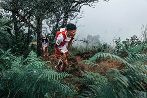 BIB: 
                            <button type="button" onclick="openModal(25330139)" class="btn btn-primary btn-sm float-right btn-popup" data-toggle="modal" data-target=".modal-high-quality">
                        <i class="fas fa-shopping-cart"></i> Add to Cart
                    </button>
                                            <button type="button" onclick="isThisMe(25330139, true)" class="btn btn-success btn-sm float-right btn-popup btn-isme hidden" data-toggle="tooltip" data-placement="bottom" title="นี่คือรูปของคุณใช่ไหม คลิกที่นี่เพื่อเอาเข้าอัลบั้ม">
                        <i class="fas fa-plus"></i> Add to album
                    </button>
                    <button type="button" onclick="isThisMe(25330139, false)" class="btn btn-warning btn-sm float-right btn-popup btn-isnotme hidden">
                        <i class="fas fa-ban"></i> Remove from album
                    </button>