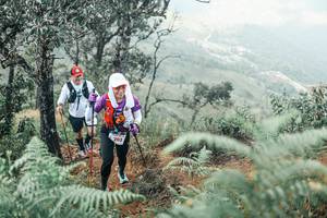 BIB: 
                            <button type="button" onclick="openModal(25339328)" class="btn btn-primary btn-sm float-right btn-popup" data-toggle="modal" data-target=".modal-high-quality">
                        <i class="fas fa-shopping-cart"></i> Add to Cart
                    </button>
                                            <button type="button" onclick="isThisMe(25339328, true)" class="btn btn-success btn-sm float-right btn-popup btn-isme hidden" data-toggle="tooltip" data-placement="bottom" title="นี่คือรูปของคุณใช่ไหม คลิกที่นี่เพื่อเอาเข้าอัลบั้ม">
                        <i class="fas fa-plus"></i> Add to album
                    </button>
                    <button type="button" onclick="isThisMe(25339328, false)" class="btn btn-warning btn-sm float-right btn-popup btn-isnotme hidden">
                        <i class="fas fa-ban"></i> Remove from album
                    </button>