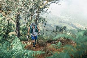 BIB: 
                            <button type="button" onclick="openModal(25338457)" class="btn btn-primary btn-sm float-right btn-popup" data-toggle="modal" data-target=".modal-high-quality">
                        <i class="fas fa-shopping-cart"></i> Add to Cart
                    </button>
                                            <button type="button" onclick="isThisMe(25338457, true)" class="btn btn-success btn-sm float-right btn-popup btn-isme hidden" data-toggle="tooltip" data-placement="bottom" title="นี่คือรูปของคุณใช่ไหม คลิกที่นี่เพื่อเอาเข้าอัลบั้ม">
                        <i class="fas fa-plus"></i> Add to album
                    </button>
                    <button type="button" onclick="isThisMe(25338457, false)" class="btn btn-warning btn-sm float-right btn-popup btn-isnotme hidden">
                        <i class="fas fa-ban"></i> Remove from album
                    </button>