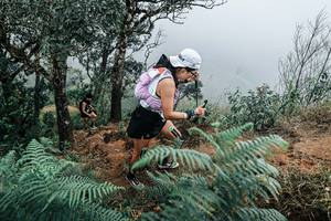 BIB: 
                            <button type="button" onclick="openModal(25329929)" class="btn btn-primary btn-sm float-right btn-popup" data-toggle="modal" data-target=".modal-high-quality">
                        <i class="fas fa-shopping-cart"></i> Add to Cart
                    </button>
                                            <button type="button" onclick="isThisMe(25329929, true)" class="btn btn-success btn-sm float-right btn-popup btn-isme hidden" data-toggle="tooltip" data-placement="bottom" title="นี่คือรูปของคุณใช่ไหม คลิกที่นี่เพื่อเอาเข้าอัลบั้ม">
                        <i class="fas fa-plus"></i> Add to album
                    </button>
                    <button type="button" onclick="isThisMe(25329929, false)" class="btn btn-warning btn-sm float-right btn-popup btn-isnotme hidden">
                        <i class="fas fa-ban"></i> Remove from album
                    </button>