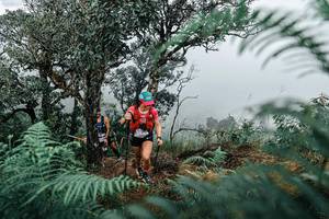 BIB: 
                            <button type="button" onclick="openModal(25336023)" class="btn btn-primary btn-sm float-right btn-popup" data-toggle="modal" data-target=".modal-high-quality">
                        <i class="fas fa-shopping-cart"></i> Add to Cart
                    </button>
                                            <button type="button" onclick="isThisMe(25336023, true)" class="btn btn-success btn-sm float-right btn-popup btn-isme hidden" data-toggle="tooltip" data-placement="bottom" title="นี่คือรูปของคุณใช่ไหม คลิกที่นี่เพื่อเอาเข้าอัลบั้ม">
                        <i class="fas fa-plus"></i> Add to album
                    </button>
                    <button type="button" onclick="isThisMe(25336023, false)" class="btn btn-warning btn-sm float-right btn-popup btn-isnotme hidden">
                        <i class="fas fa-ban"></i> Remove from album
                    </button>