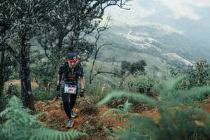 BIB: 
                            <button type="button" onclick="openModal(25339033)" class="btn btn-primary btn-sm float-right btn-popup" data-toggle="modal" data-target=".modal-high-quality">
                        <i class="fas fa-shopping-cart"></i> Add to Cart
                    </button>
                                            <button type="button" onclick="isThisMe(25339033, true)" class="btn btn-success btn-sm float-right btn-popup btn-isme hidden" data-toggle="tooltip" data-placement="bottom" title="นี่คือรูปของคุณใช่ไหม คลิกที่นี่เพื่อเอาเข้าอัลบั้ม">
                        <i class="fas fa-plus"></i> Add to album
                    </button>
                    <button type="button" onclick="isThisMe(25339033, false)" class="btn btn-warning btn-sm float-right btn-popup btn-isnotme hidden">
                        <i class="fas fa-ban"></i> Remove from album
                    </button>