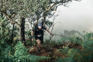 BIB: 
                            <button type="button" onclick="openModal(25338075)" class="btn btn-primary btn-sm float-right btn-popup" data-toggle="modal" data-target=".modal-high-quality">
                        <i class="fas fa-shopping-cart"></i> Add to Cart
                    </button>
                                            <button type="button" onclick="isThisMe(25338075, true)" class="btn btn-success btn-sm float-right btn-popup btn-isme hidden" data-toggle="tooltip" data-placement="bottom" title="นี่คือรูปของคุณใช่ไหม คลิกที่นี่เพื่อเอาเข้าอัลบั้ม">
                        <i class="fas fa-plus"></i> Add to album
                    </button>
                    <button type="button" onclick="isThisMe(25338075, false)" class="btn btn-warning btn-sm float-right btn-popup btn-isnotme hidden">
                        <i class="fas fa-ban"></i> Remove from album
                    </button>