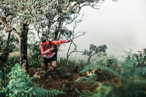 BIB: 
                            <button type="button" onclick="openModal(25337974)" class="btn btn-primary btn-sm float-right btn-popup" data-toggle="modal" data-target=".modal-high-quality">
                        <i class="fas fa-shopping-cart"></i> Add to Cart
                    </button>
                                            <button type="button" onclick="isThisMe(25337974, true)" class="btn btn-success btn-sm float-right btn-popup btn-isme hidden" data-toggle="tooltip" data-placement="bottom" title="นี่คือรูปของคุณใช่ไหม คลิกที่นี่เพื่อเอาเข้าอัลบั้ม">
                        <i class="fas fa-plus"></i> Add to album
                    </button>
                    <button type="button" onclick="isThisMe(25337974, false)" class="btn btn-warning btn-sm float-right btn-popup btn-isnotme hidden">
                        <i class="fas fa-ban"></i> Remove from album
                    </button>