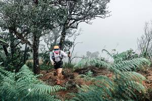 BIB: 
                            <button type="button" onclick="openModal(25329534)" class="btn btn-primary btn-sm float-right btn-popup" data-toggle="modal" data-target=".modal-high-quality">
                        <i class="fas fa-shopping-cart"></i> Add to Cart
                    </button>
                                            <button type="button" onclick="isThisMe(25329534, true)" class="btn btn-success btn-sm float-right btn-popup btn-isme hidden" data-toggle="tooltip" data-placement="bottom" title="นี่คือรูปของคุณใช่ไหม คลิกที่นี่เพื่อเอาเข้าอัลบั้ม">
                        <i class="fas fa-plus"></i> Add to album
                    </button>
                    <button type="button" onclick="isThisMe(25329534, false)" class="btn btn-warning btn-sm float-right btn-popup btn-isnotme hidden">
                        <i class="fas fa-ban"></i> Remove from album
                    </button>