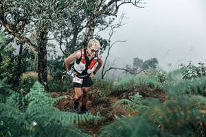 BIB: 
                            <button type="button" onclick="openModal(25337879)" class="btn btn-primary btn-sm float-right btn-popup" data-toggle="modal" data-target=".modal-high-quality">
                        <i class="fas fa-shopping-cart"></i> Add to Cart
                    </button>
                                            <button type="button" onclick="isThisMe(25337879, true)" class="btn btn-success btn-sm float-right btn-popup btn-isme hidden" data-toggle="tooltip" data-placement="bottom" title="นี่คือรูปของคุณใช่ไหม คลิกที่นี่เพื่อเอาเข้าอัลบั้ม">
                        <i class="fas fa-plus"></i> Add to album
                    </button>
                    <button type="button" onclick="isThisMe(25337879, false)" class="btn btn-warning btn-sm float-right btn-popup btn-isnotme hidden">
                        <i class="fas fa-ban"></i> Remove from album
                    </button>