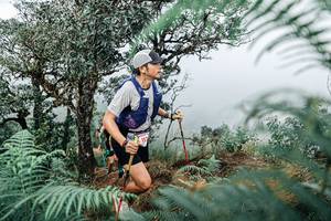 BIB: 
                            <button type="button" onclick="openModal(25329066)" class="btn btn-primary btn-sm float-right btn-popup" data-toggle="modal" data-target=".modal-high-quality">
                        <i class="fas fa-shopping-cart"></i> Add to Cart
                    </button>
                                            <button type="button" onclick="isThisMe(25329066, true)" class="btn btn-success btn-sm float-right btn-popup btn-isme hidden" data-toggle="tooltip" data-placement="bottom" title="นี่คือรูปของคุณใช่ไหม คลิกที่นี่เพื่อเอาเข้าอัลบั้ม">
                        <i class="fas fa-plus"></i> Add to album
                    </button>
                    <button type="button" onclick="isThisMe(25329066, false)" class="btn btn-warning btn-sm float-right btn-popup btn-isnotme hidden">
                        <i class="fas fa-ban"></i> Remove from album
                    </button>