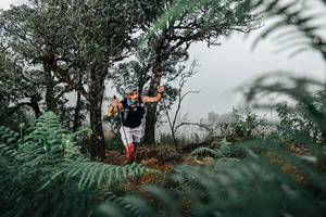 BIB: 
                            <button type="button" onclick="openModal(25328815)" class="btn btn-primary btn-sm float-right btn-popup" data-toggle="modal" data-target=".modal-high-quality">
                        <i class="fas fa-shopping-cart"></i> Add to Cart
                    </button>
                                            <button type="button" onclick="isThisMe(25328815, true)" class="btn btn-success btn-sm float-right btn-popup btn-isme hidden" data-toggle="tooltip" data-placement="bottom" title="นี่คือรูปของคุณใช่ไหม คลิกที่นี่เพื่อเอาเข้าอัลบั้ม">
                        <i class="fas fa-plus"></i> Add to album
                    </button>
                    <button type="button" onclick="isThisMe(25328815, false)" class="btn btn-warning btn-sm float-right btn-popup btn-isnotme hidden">
                        <i class="fas fa-ban"></i> Remove from album
                    </button>