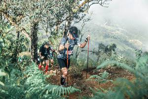 BIB: 
                            <button type="button" onclick="openModal(25338356)" class="btn btn-primary btn-sm float-right btn-popup" data-toggle="modal" data-target=".modal-high-quality">
                        <i class="fas fa-shopping-cart"></i> Add to Cart
                    </button>
                                            <button type="button" onclick="isThisMe(25338356, true)" class="btn btn-success btn-sm float-right btn-popup btn-isme hidden" data-toggle="tooltip" data-placement="bottom" title="นี่คือรูปของคุณใช่ไหม คลิกที่นี่เพื่อเอาเข้าอัลบั้ม">
                        <i class="fas fa-plus"></i> Add to album
                    </button>
                    <button type="button" onclick="isThisMe(25338356, false)" class="btn btn-warning btn-sm float-right btn-popup btn-isnotme hidden">
                        <i class="fas fa-ban"></i> Remove from album
                    </button>