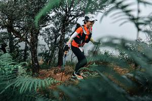 BIB: 
                            <button type="button" onclick="openModal(25328941)" class="btn btn-primary btn-sm float-right btn-popup" data-toggle="modal" data-target=".modal-high-quality">
                        <i class="fas fa-shopping-cart"></i> Add to Cart
                    </button>
                                            <button type="button" onclick="isThisMe(25328941, true)" class="btn btn-success btn-sm float-right btn-popup btn-isme hidden" data-toggle="tooltip" data-placement="bottom" title="นี่คือรูปของคุณใช่ไหม คลิกที่นี่เพื่อเอาเข้าอัลบั้ม">
                        <i class="fas fa-plus"></i> Add to album
                    </button>
                    <button type="button" onclick="isThisMe(25328941, false)" class="btn btn-warning btn-sm float-right btn-popup btn-isnotme hidden">
                        <i class="fas fa-ban"></i> Remove from album
                    </button>