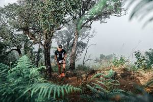 BIB: 
                            <button type="button" onclick="openModal(25328889)" class="btn btn-primary btn-sm float-right btn-popup" data-toggle="modal" data-target=".modal-high-quality">
                        <i class="fas fa-shopping-cart"></i> Add to Cart
                    </button>
                                            <button type="button" onclick="isThisMe(25328889, true)" class="btn btn-success btn-sm float-right btn-popup btn-isme hidden" data-toggle="tooltip" data-placement="bottom" title="นี่คือรูปของคุณใช่ไหม คลิกที่นี่เพื่อเอาเข้าอัลบั้ม">
                        <i class="fas fa-plus"></i> Add to album
                    </button>
                    <button type="button" onclick="isThisMe(25328889, false)" class="btn btn-warning btn-sm float-right btn-popup btn-isnotme hidden">
                        <i class="fas fa-ban"></i> Remove from album
                    </button>