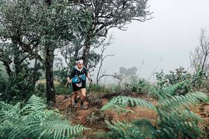 BIB: 
                            <button type="button" onclick="openModal(25329503)" class="btn btn-primary btn-sm float-right btn-popup" data-toggle="modal" data-target=".modal-high-quality">
                        <i class="fas fa-shopping-cart"></i> Add to Cart
                    </button>
                                            <button type="button" onclick="isThisMe(25329503, true)" class="btn btn-success btn-sm float-right btn-popup btn-isme hidden" data-toggle="tooltip" data-placement="bottom" title="นี่คือรูปของคุณใช่ไหม คลิกที่นี่เพื่อเอาเข้าอัลบั้ม">
                        <i class="fas fa-plus"></i> Add to album
                    </button>
                    <button type="button" onclick="isThisMe(25329503, false)" class="btn btn-warning btn-sm float-right btn-popup btn-isnotme hidden">
                        <i class="fas fa-ban"></i> Remove from album
                    </button>