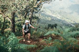 BIB: 
                            <button type="button" onclick="openModal(25339858)" class="btn btn-primary btn-sm float-right btn-popup" data-toggle="modal" data-target=".modal-high-quality">
                        <i class="fas fa-shopping-cart"></i> Add to Cart
                    </button>
                                            <button type="button" onclick="isThisMe(25339858, true)" class="btn btn-success btn-sm float-right btn-popup btn-isme hidden" data-toggle="tooltip" data-placement="bottom" title="นี่คือรูปของคุณใช่ไหม คลิกที่นี่เพื่อเอาเข้าอัลบั้ม">
                        <i class="fas fa-plus"></i> Add to album
                    </button>
                    <button type="button" onclick="isThisMe(25339858, false)" class="btn btn-warning btn-sm float-right btn-popup btn-isnotme hidden">
                        <i class="fas fa-ban"></i> Remove from album
                    </button>