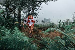 BIB: 
                            <button type="button" onclick="openModal(25330130)" class="btn btn-primary btn-sm float-right btn-popup" data-toggle="modal" data-target=".modal-high-quality">
                        <i class="fas fa-shopping-cart"></i> Add to Cart
                    </button>
                                            <button type="button" onclick="isThisMe(25330130, true)" class="btn btn-success btn-sm float-right btn-popup btn-isme hidden" data-toggle="tooltip" data-placement="bottom" title="นี่คือรูปของคุณใช่ไหม คลิกที่นี่เพื่อเอาเข้าอัลบั้ม">
                        <i class="fas fa-plus"></i> Add to album
                    </button>
                    <button type="button" onclick="isThisMe(25330130, false)" class="btn btn-warning btn-sm float-right btn-popup btn-isnotme hidden">
                        <i class="fas fa-ban"></i> Remove from album
                    </button>