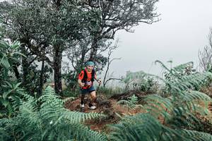 BIB: 
                            <button type="button" onclick="openModal(25329521)" class="btn btn-primary btn-sm float-right btn-popup" data-toggle="modal" data-target=".modal-high-quality">
                        <i class="fas fa-shopping-cart"></i> Add to Cart
                    </button>
                                            <button type="button" onclick="isThisMe(25329521, true)" class="btn btn-success btn-sm float-right btn-popup btn-isme hidden" data-toggle="tooltip" data-placement="bottom" title="นี่คือรูปของคุณใช่ไหม คลิกที่นี่เพื่อเอาเข้าอัลบั้ม">
                        <i class="fas fa-plus"></i> Add to album
                    </button>
                    <button type="button" onclick="isThisMe(25329521, false)" class="btn btn-warning btn-sm float-right btn-popup btn-isnotme hidden">
                        <i class="fas fa-ban"></i> Remove from album
                    </button>