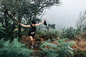 BIB: 
                            <button type="button" onclick="openModal(25329940)" class="btn btn-primary btn-sm float-right btn-popup" data-toggle="modal" data-target=".modal-high-quality">
                        <i class="fas fa-shopping-cart"></i> Add to Cart
                    </button>
                                            <button type="button" onclick="isThisMe(25329940, true)" class="btn btn-success btn-sm float-right btn-popup btn-isme hidden" data-toggle="tooltip" data-placement="bottom" title="นี่คือรูปของคุณใช่ไหม คลิกที่นี่เพื่อเอาเข้าอัลบั้ม">
                        <i class="fas fa-plus"></i> Add to album
                    </button>
                    <button type="button" onclick="isThisMe(25329940, false)" class="btn btn-warning btn-sm float-right btn-popup btn-isnotme hidden">
                        <i class="fas fa-ban"></i> Remove from album
                    </button>