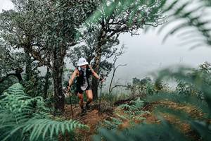 BIB: 
                            <button type="button" onclick="openModal(25329096)" class="btn btn-primary btn-sm float-right btn-popup" data-toggle="modal" data-target=".modal-high-quality">
                        <i class="fas fa-shopping-cart"></i> Add to Cart
                    </button>
                                            <button type="button" onclick="isThisMe(25329096, true)" class="btn btn-success btn-sm float-right btn-popup btn-isme hidden" data-toggle="tooltip" data-placement="bottom" title="นี่คือรูปของคุณใช่ไหม คลิกที่นี่เพื่อเอาเข้าอัลบั้ม">
                        <i class="fas fa-plus"></i> Add to album
                    </button>
                    <button type="button" onclick="isThisMe(25329096, false)" class="btn btn-warning btn-sm float-right btn-popup btn-isnotme hidden">
                        <i class="fas fa-ban"></i> Remove from album
                    </button>