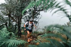 BIB: 
                            <button type="button" onclick="openModal(25329195)" class="btn btn-primary btn-sm float-right btn-popup" data-toggle="modal" data-target=".modal-high-quality">
                        <i class="fas fa-shopping-cart"></i> Add to Cart
                    </button>
                                            <button type="button" onclick="isThisMe(25329195, true)" class="btn btn-success btn-sm float-right btn-popup btn-isme hidden" data-toggle="tooltip" data-placement="bottom" title="นี่คือรูปของคุณใช่ไหม คลิกที่นี่เพื่อเอาเข้าอัลบั้ม">
                        <i class="fas fa-plus"></i> Add to album
                    </button>
                    <button type="button" onclick="isThisMe(25329195, false)" class="btn btn-warning btn-sm float-right btn-popup btn-isnotme hidden">
                        <i class="fas fa-ban"></i> Remove from album
                    </button>