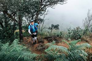 BIB: 
                            <button type="button" onclick="openModal(25329889)" class="btn btn-primary btn-sm float-right btn-popup" data-toggle="modal" data-target=".modal-high-quality">
                        <i class="fas fa-shopping-cart"></i> Add to Cart
                    </button>
                                            <button type="button" onclick="isThisMe(25329889, true)" class="btn btn-success btn-sm float-right btn-popup btn-isme hidden" data-toggle="tooltip" data-placement="bottom" title="นี่คือรูปของคุณใช่ไหม คลิกที่นี่เพื่อเอาเข้าอัลบั้ม">
                        <i class="fas fa-plus"></i> Add to album
                    </button>
                    <button type="button" onclick="isThisMe(25329889, false)" class="btn btn-warning btn-sm float-right btn-popup btn-isnotme hidden">
                        <i class="fas fa-ban"></i> Remove from album
                    </button>