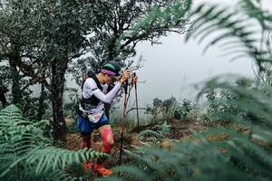 BIB: 
                            <button type="button" onclick="openModal(25329818)" class="btn btn-primary btn-sm float-right btn-popup" data-toggle="modal" data-target=".modal-high-quality">
                        <i class="fas fa-shopping-cart"></i> Add to Cart
                    </button>
                                            <button type="button" onclick="isThisMe(25329818, true)" class="btn btn-success btn-sm float-right btn-popup btn-isme hidden" data-toggle="tooltip" data-placement="bottom" title="นี่คือรูปของคุณใช่ไหม คลิกที่นี่เพื่อเอาเข้าอัลบั้ม">
                        <i class="fas fa-plus"></i> Add to album
                    </button>
                    <button type="button" onclick="isThisMe(25329818, false)" class="btn btn-warning btn-sm float-right btn-popup btn-isnotme hidden">
                        <i class="fas fa-ban"></i> Remove from album
                    </button>