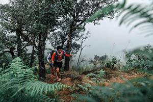 BIB: 
                            <button type="button" onclick="openModal(25329784)" class="btn btn-primary btn-sm float-right btn-popup" data-toggle="modal" data-target=".modal-high-quality">
                        <i class="fas fa-shopping-cart"></i> Add to Cart
                    </button>
                                            <button type="button" onclick="isThisMe(25329784, true)" class="btn btn-success btn-sm float-right btn-popup btn-isme hidden" data-toggle="tooltip" data-placement="bottom" title="นี่คือรูปของคุณใช่ไหม คลิกที่นี่เพื่อเอาเข้าอัลบั้ม">
                        <i class="fas fa-plus"></i> Add to album
                    </button>
                    <button type="button" onclick="isThisMe(25329784, false)" class="btn btn-warning btn-sm float-right btn-popup btn-isnotme hidden">
                        <i class="fas fa-ban"></i> Remove from album
                    </button>