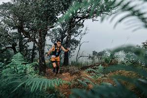 BIB: 
                            <button type="button" onclick="openModal(25328945)" class="btn btn-primary btn-sm float-right btn-popup" data-toggle="modal" data-target=".modal-high-quality">
                        <i class="fas fa-shopping-cart"></i> Add to Cart
                    </button>
                                            <button type="button" onclick="isThisMe(25328945, true)" class="btn btn-success btn-sm float-right btn-popup btn-isme hidden" data-toggle="tooltip" data-placement="bottom" title="นี่คือรูปของคุณใช่ไหม คลิกที่นี่เพื่อเอาเข้าอัลบั้ม">
                        <i class="fas fa-plus"></i> Add to album
                    </button>
                    <button type="button" onclick="isThisMe(25328945, false)" class="btn btn-warning btn-sm float-right btn-popup btn-isnotme hidden">
                        <i class="fas fa-ban"></i> Remove from album
                    </button>